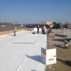 TPO Roofing Job Dallas
